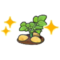 Ripe potato plant (Grow)