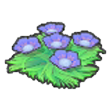 Seabed flowers (purple)