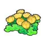 Skyland flowers (yellow)