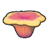 Small coral (Red)