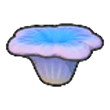 Small coral