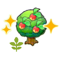 Small Leppa tree (Grow)