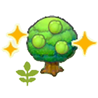 Small Lum tree (Grow)