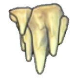 Stalactite