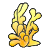 Tall coral
