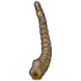 Tundra Fossil (tail)