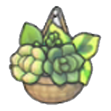 Wall plant