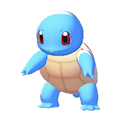 Squirtle Image