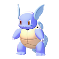 Wartortle Image