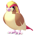 Pidgeot Image
