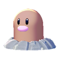 Diglett Image