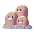 Dugtrio Image