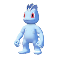 Machop Image