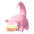 Slowpoke Image