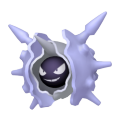 Cloyster Image