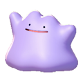 Ditto Image