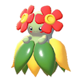 Bellossom Image