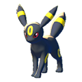 Umbreon Image