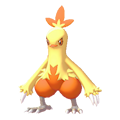 Combusken Image