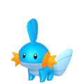 Mudkip Image