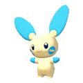 Minun Image