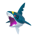 Sharpedo Image