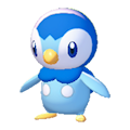 Piplup Image