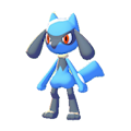 Riolu Image