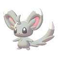 Minccino Image