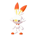 Scorbunny Image