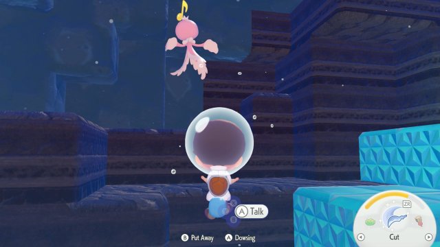 Treasure Maps - Net Ball