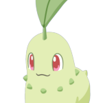 Chikorita