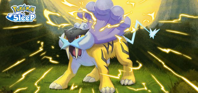 Raikou Research