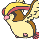 Pidgeot