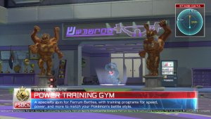 Power Training Gym