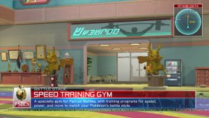 Speed Training Gym