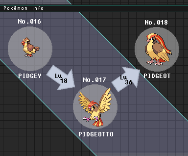 Pokémon of the Week - Pidgeot