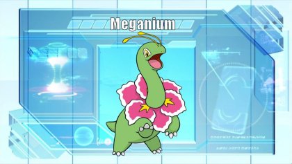 Meganium