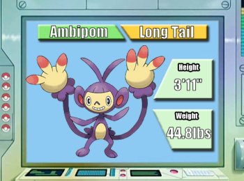 Ambipom