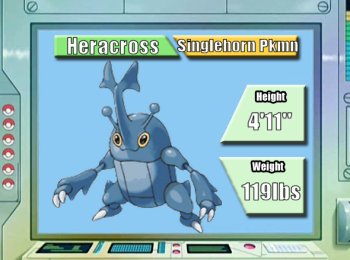 Heracross