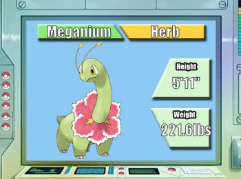 Meganium