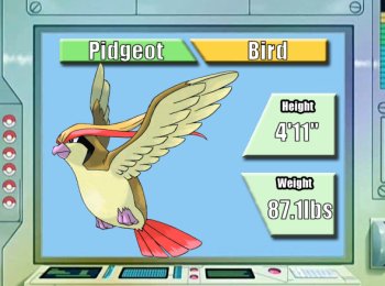 Pidgeot