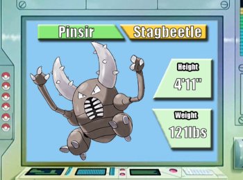 Pinsir