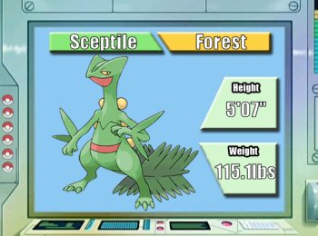 The best team for Pokemon Emerald with Sceptile