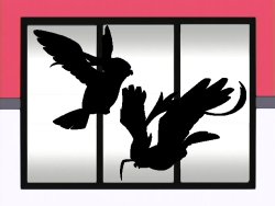 Pokémon of the Week - Pidgeot