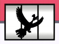 Pokémon of the Week - Braviary