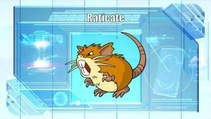 Raticate