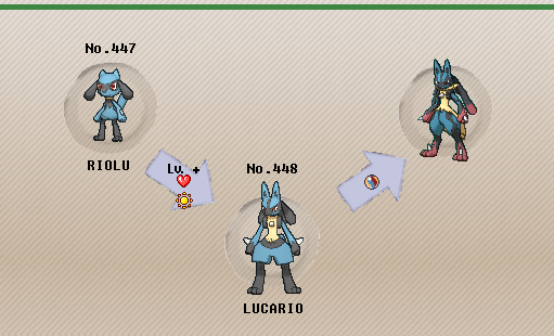 Pokemon Lucario Evolution Chart Pok mon Lucario Evolution Esfera