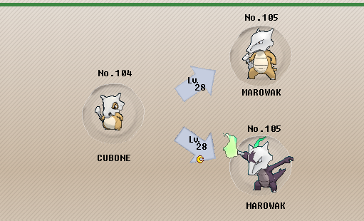 kæmpe stor midt i intetsteds svømme Pokémon of the Week - Marowak