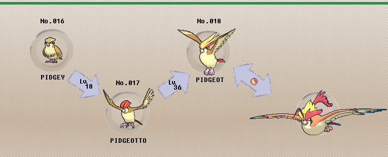 PIDGEOT / LUGIA EX – Sky Attack